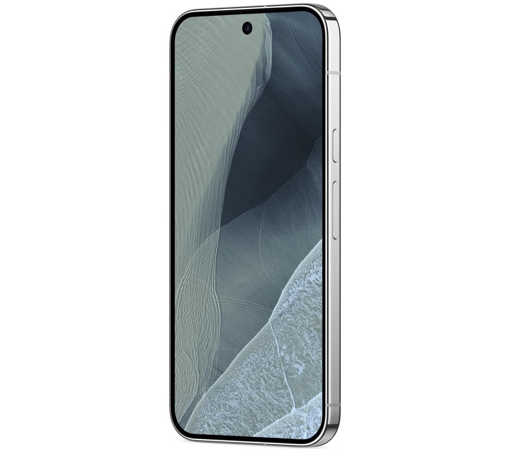 GOOGLE Pixel 11 Pro XL - 256 GB, Fog image number 6 of 12