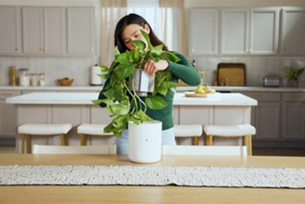 a woman is holding a plant in a white pot