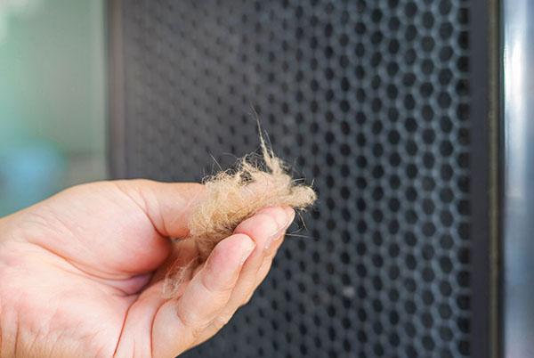 a person holding a piece of hair in their hand