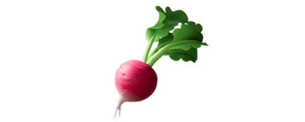 a radish with a green stem is shown in a white background