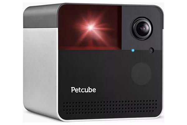 petcube