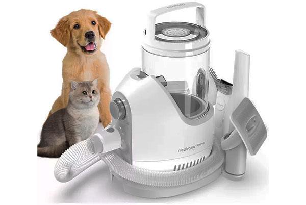 pet grooming kit
