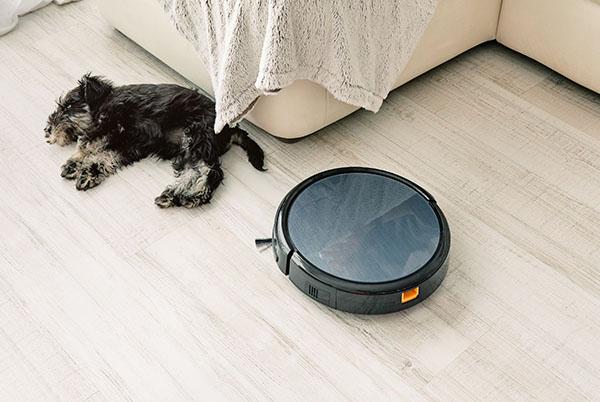 a dog laying on the floor next to a robot vacuum cleaner