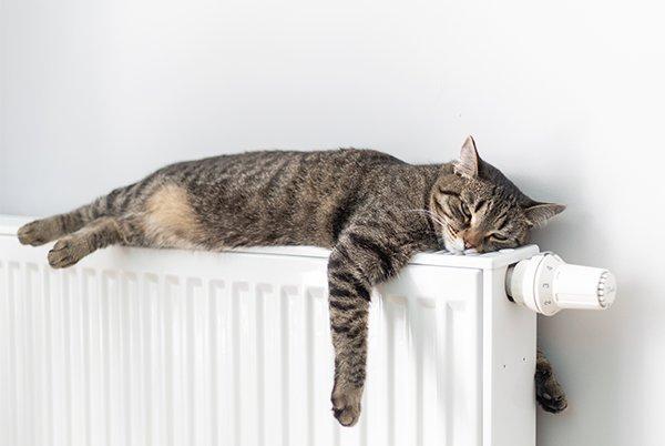 a cat laying on top of a radiator 
