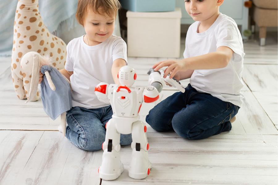 Robot & STEM toys