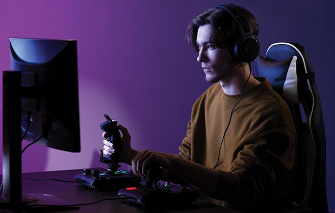 FLIGHT SIMULATION