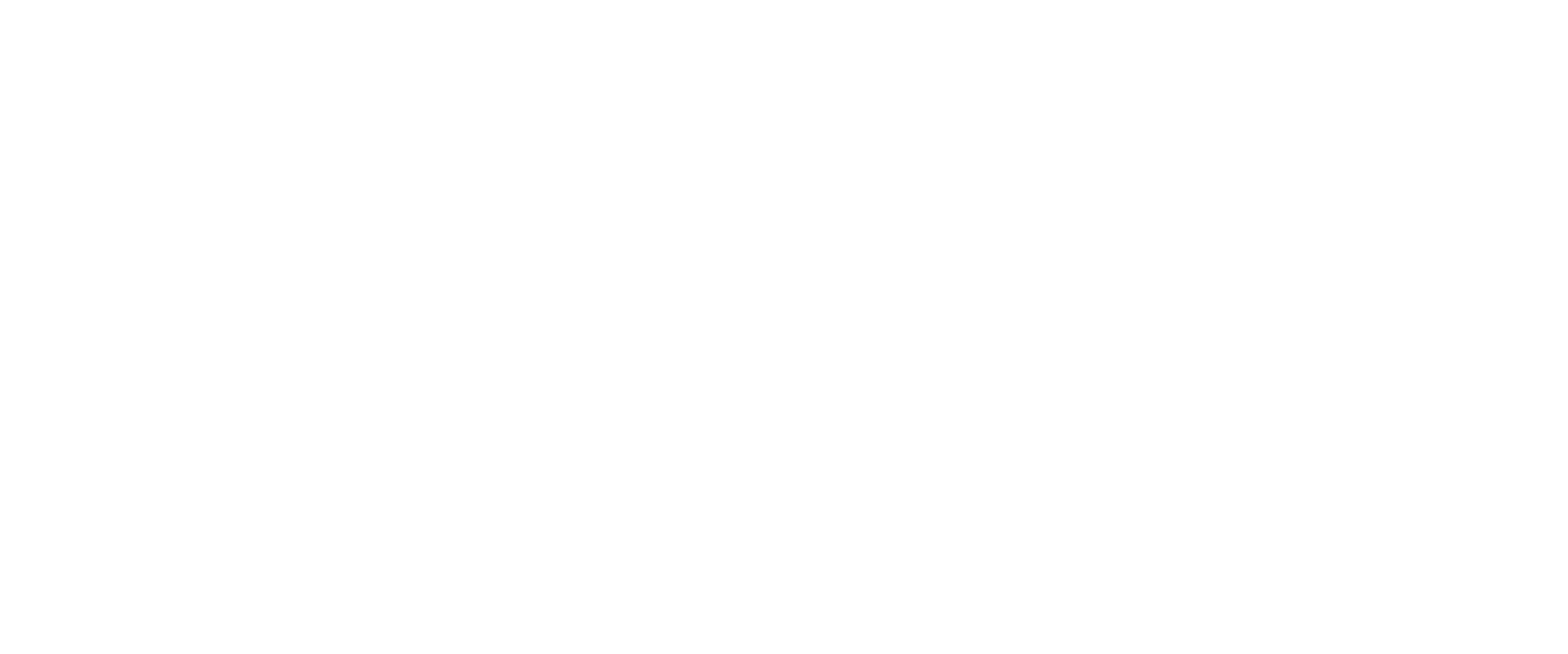 adx-packing-100-percentage-logo