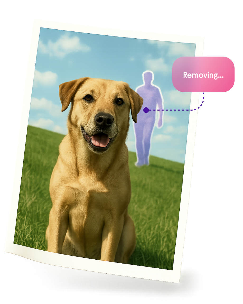 a dog sitting in a field with a picture of a person in the background