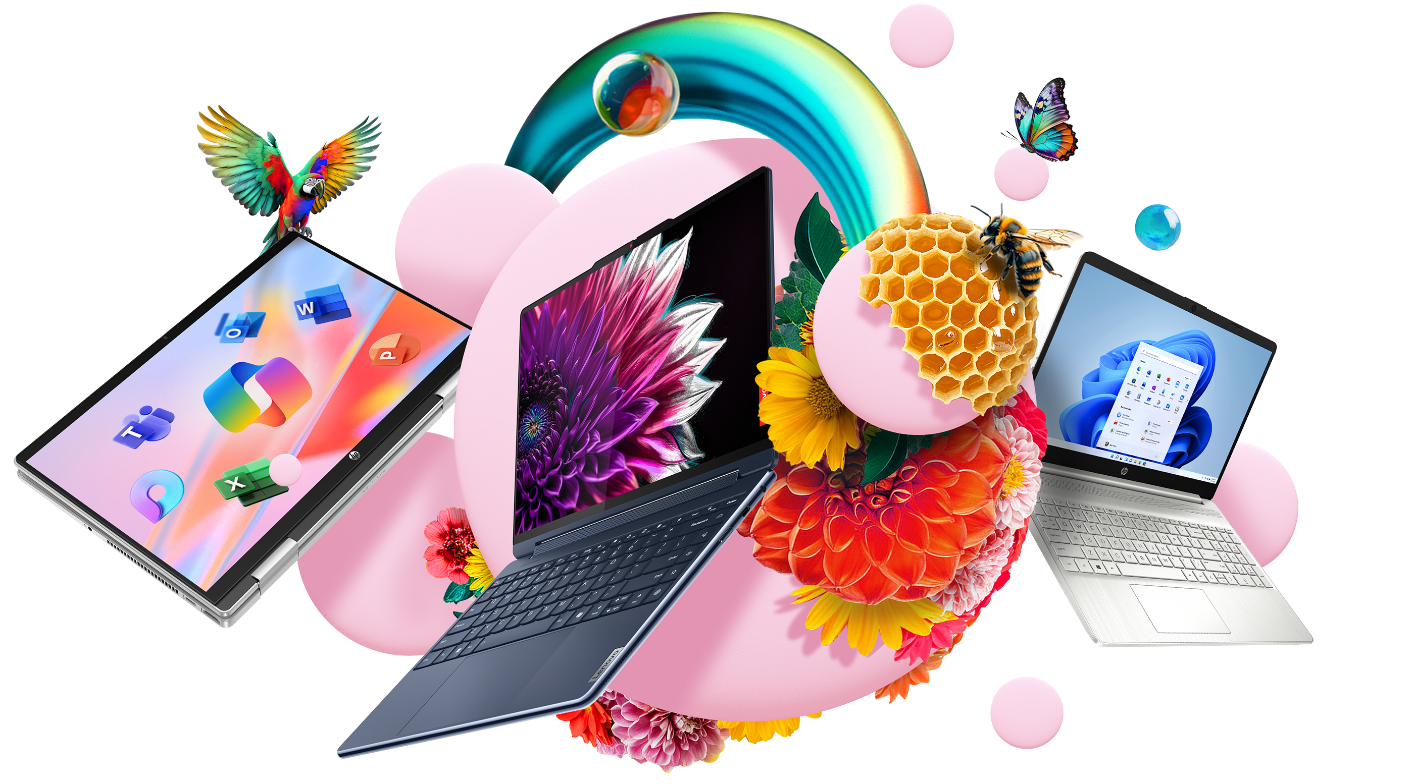 Three laptops on pink circles, surrounded by bees, a parrot and brightly coloured flowers