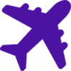 A purple icon of a plane