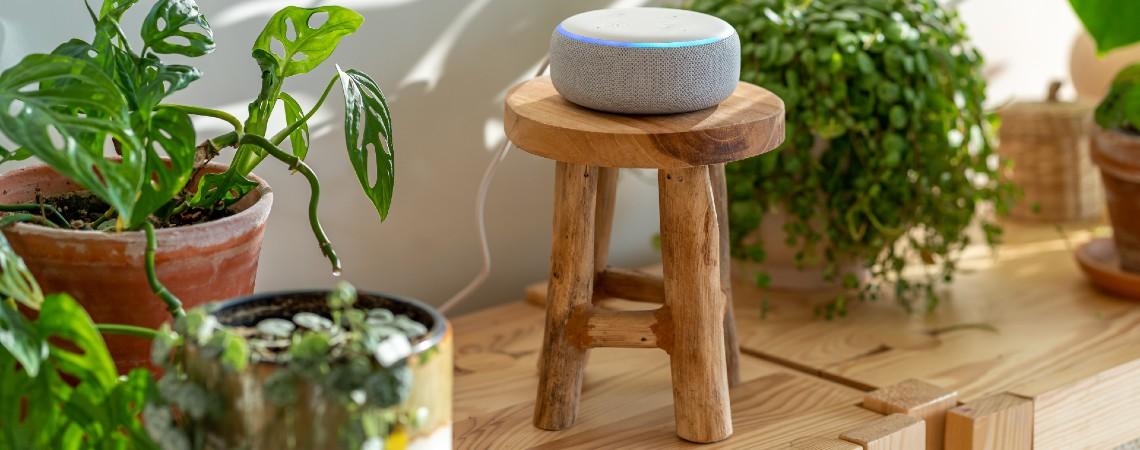 Can echo play hot sale sound from tv