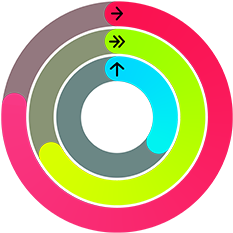 Red, green and blue Activity rings, representing Move, Exercise and Stand goals in the Activity app