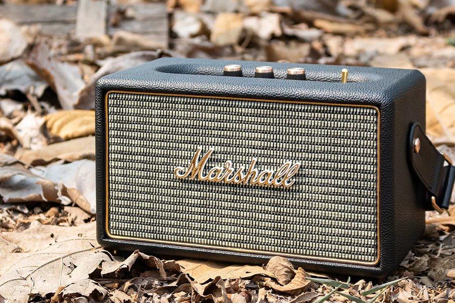 A portable Marshall speaker on the ground on top of some leaves