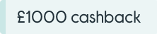 INFYCE_CASHBACK1000_WK20
