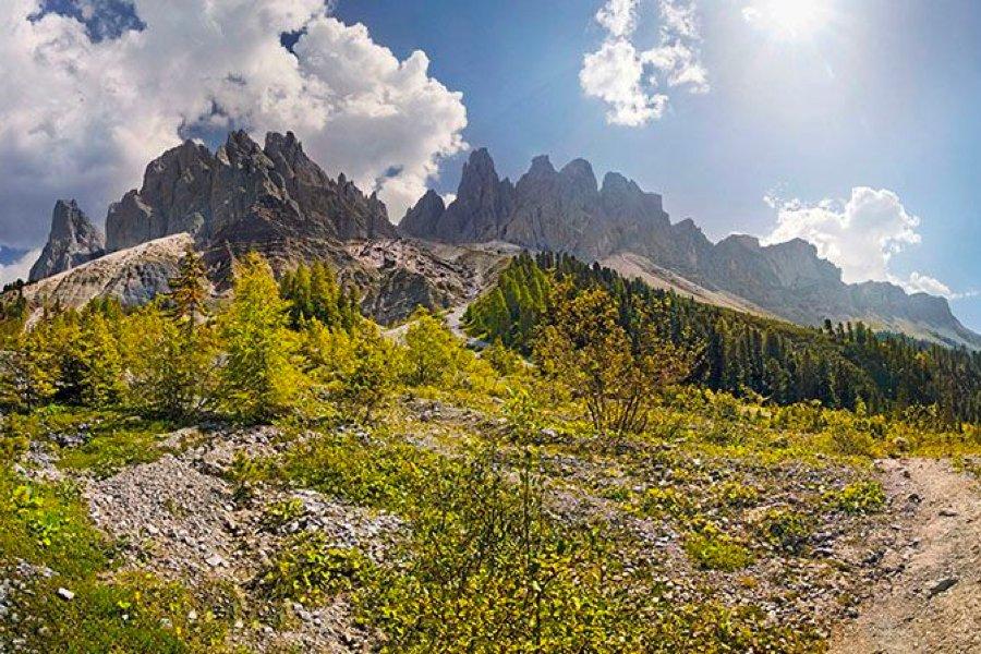What is a 360 camera? Everything you need to know