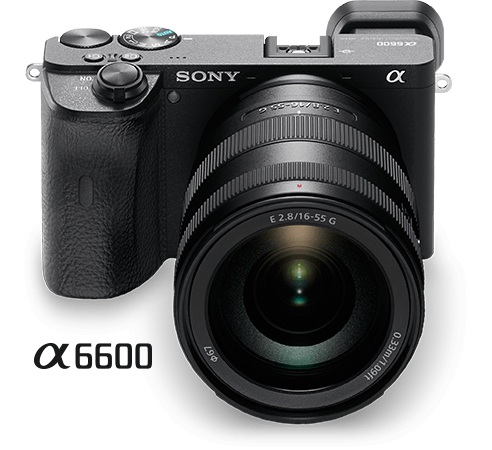 a6600 camera