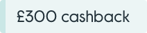 INFYCE_CASHBACK300_WK20