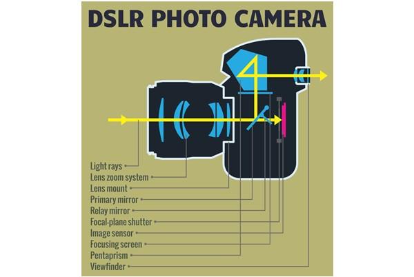 DSLR camera diagram