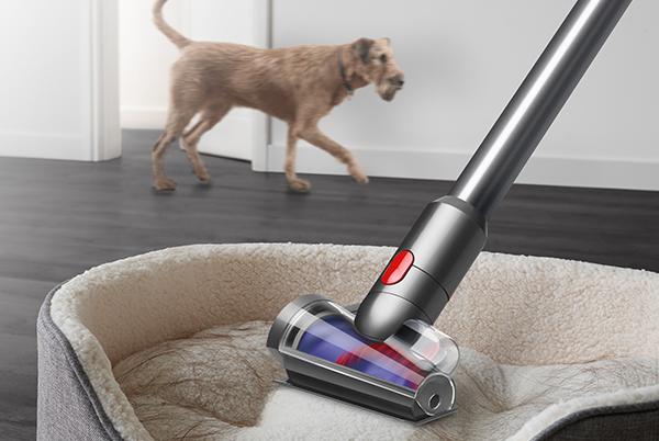 Dyson dog hair