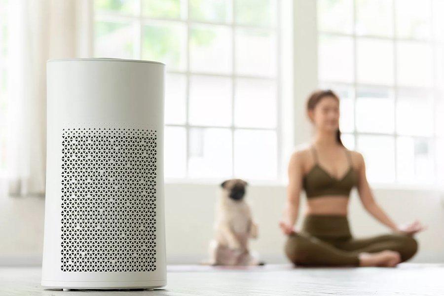 A white appliance in front of a woman doing yoga next to a dog