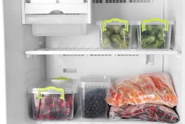 freezer food containers