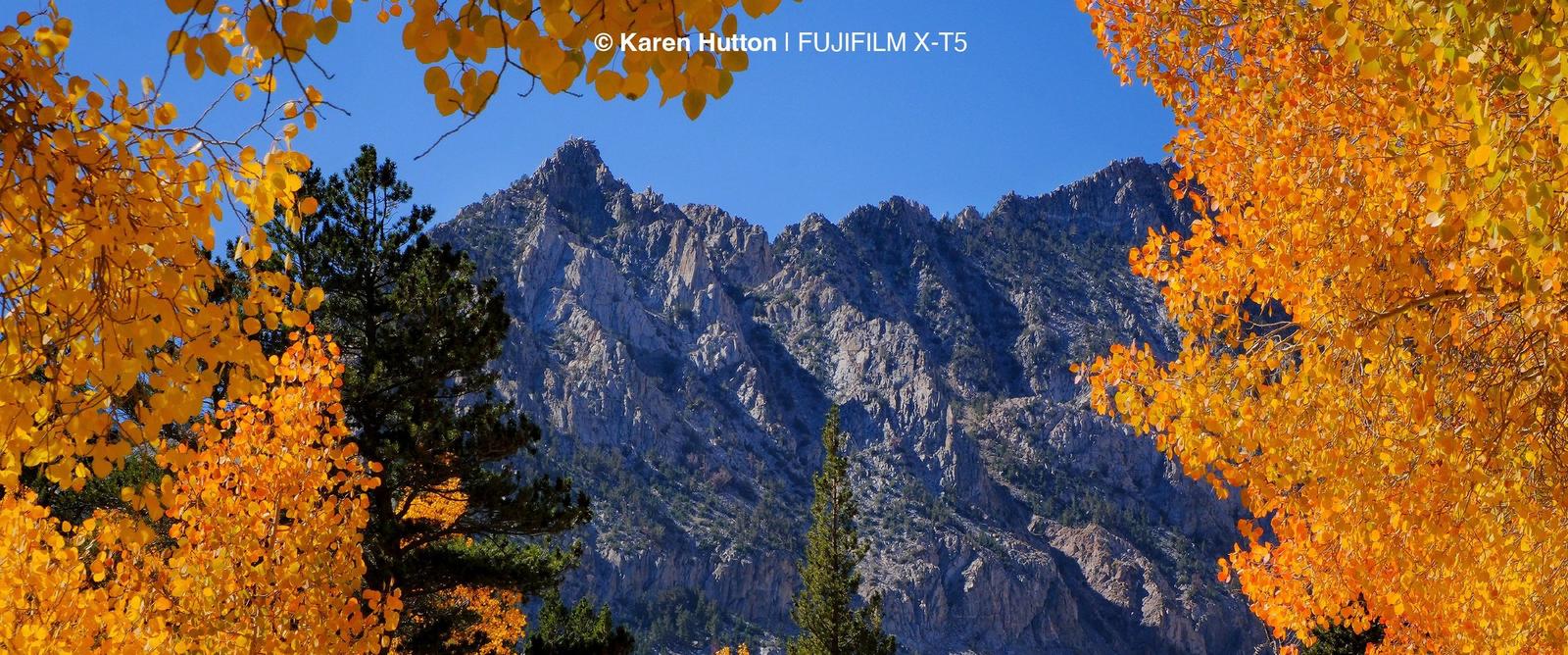 A landscape of a mountain range with autumn leaves in close up 