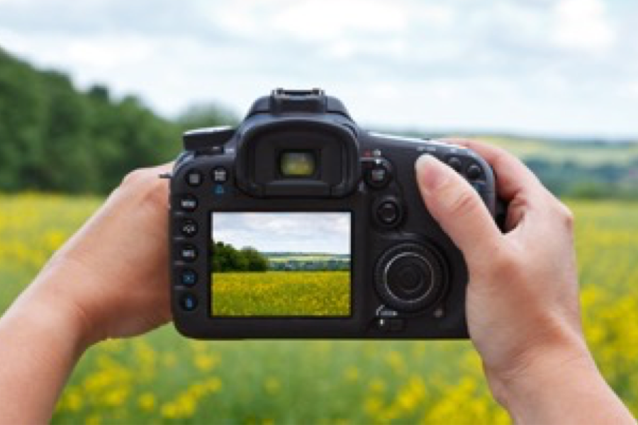 Full frame DSLRs
