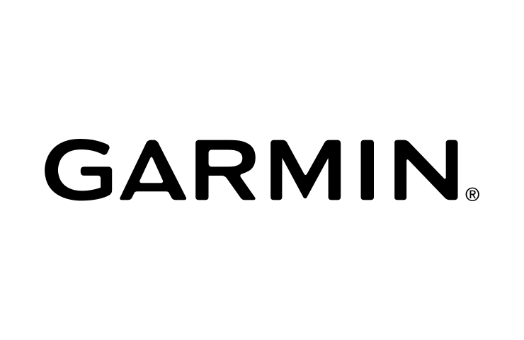 Wiz logo