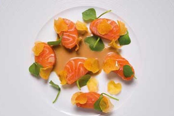 Salmon