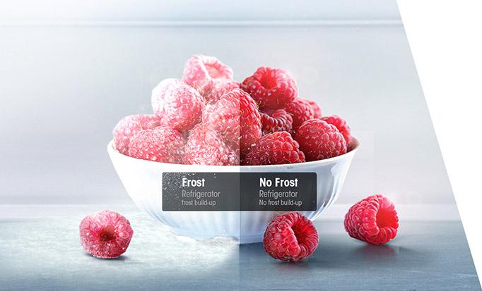 Hisense Total No Frost