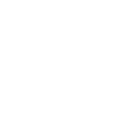 secure wingtip icon