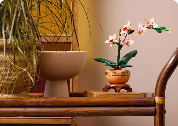 A LEGO bonsai tree on a surface surrounded by other decor