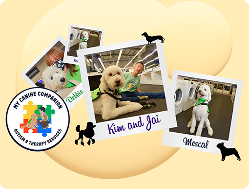 Donate to My Canine Companion
