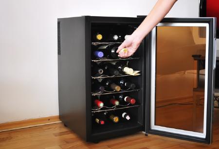 Currys 2024 drinks cooler