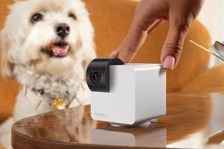 A pet camera on a table with a dog in the background