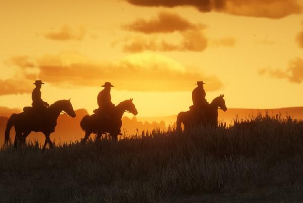 Red Dead Redemption Online