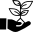 an icon of plant in a hand