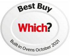 Which Best Buy 2021 badge