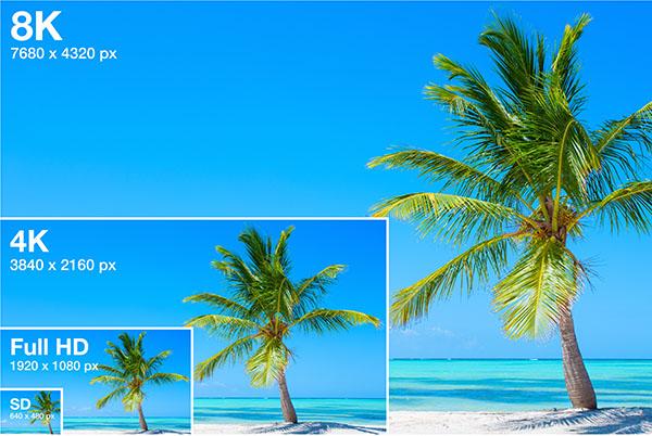 a palm tree on a beach with a blue sky in the background