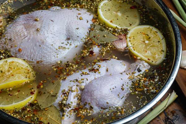 Brining a chicken