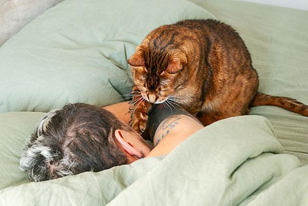 a cat laying on top of a person in bed