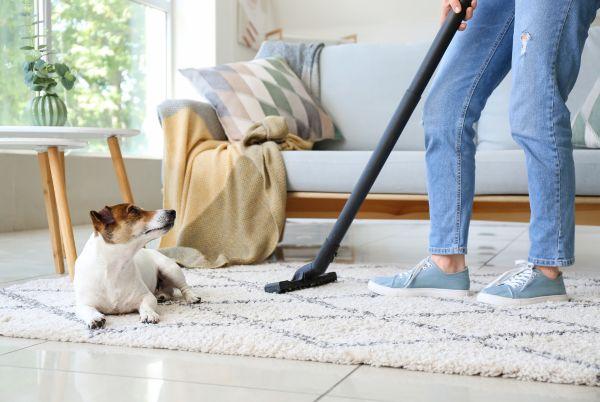 a woman vacuuming a rug with a dog on the floor