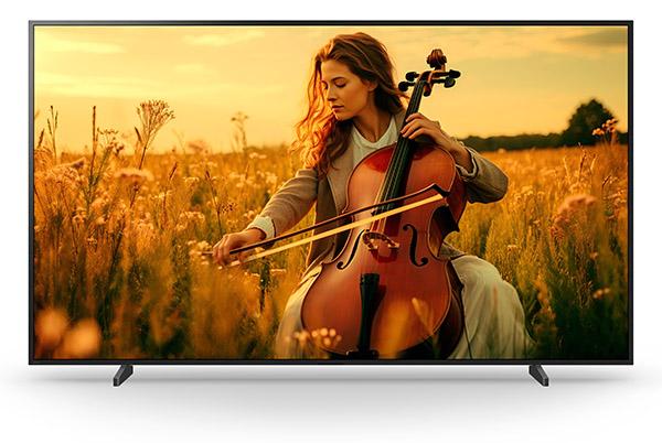 Bravia 5