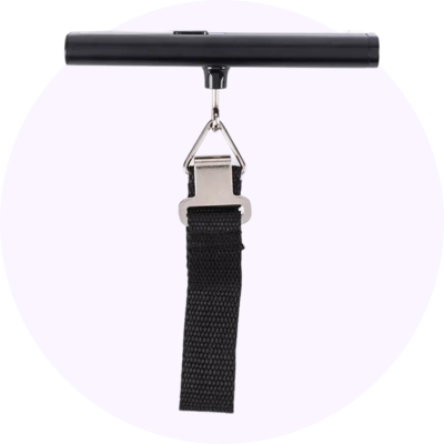 Luggage scales