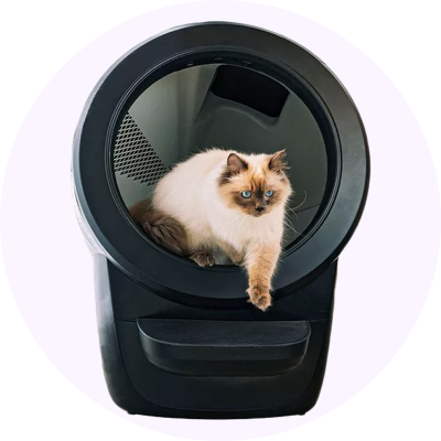 automatic litter tray with cat coming out