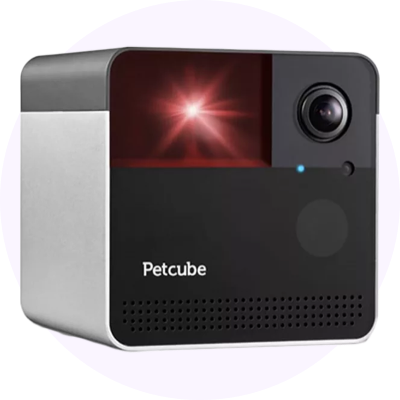pet camera