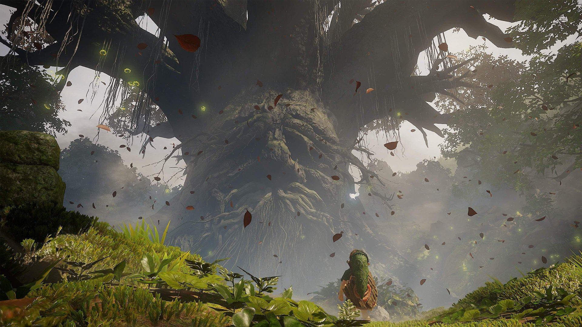 The character Link from Zelda standing in front of a tree with a face