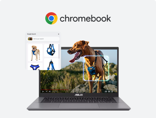 Imagery of ASUS Chromebook CX34 plus logo.